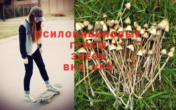 a pvp Армянск