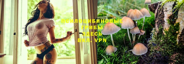 a pvp Армянск