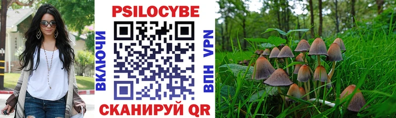 Псилоцибиновые грибы GOLDEN TEACHER kraken как войти Любань
